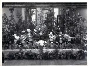 Burgh Hall Dunoon915